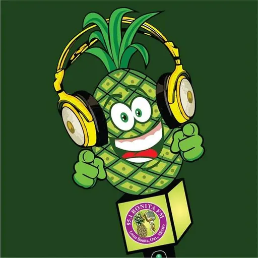 Bonita FM 95.1 logo
