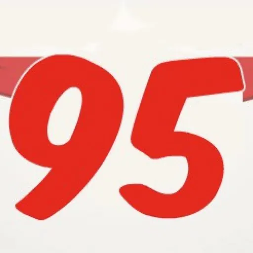 Radio Livre 95 logo