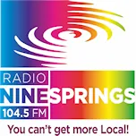Radio Ninesprings logo