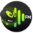 VagalumeFM Vibe logo