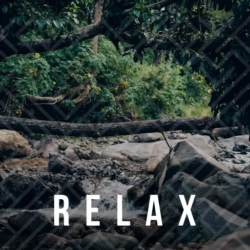 Aplus.FM Relax logo