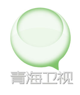 青海卫视伴音 logo