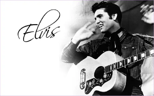 Elvis And Company logo