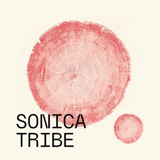 Sonica Tribe logo