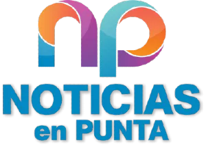 FM Punta 88.1 logo