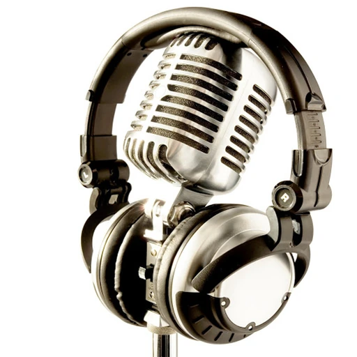 De Stemm Radio logo