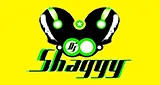 DJ Shaggy Venezuela Radio logo