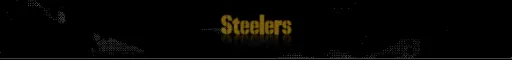 Steelers Nation Radio logo