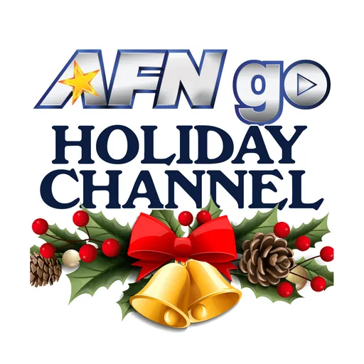 AFN 360 Global Holiday logo