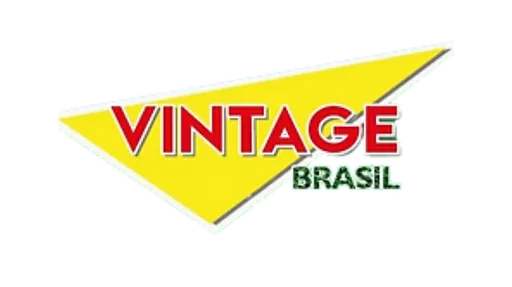 VINTAGE BRASIL logo
