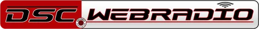 D S C logo