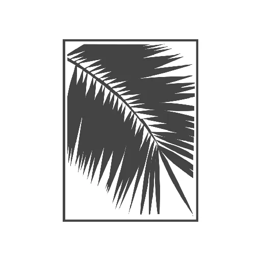 Palmera Blanca radio - Daystream logo