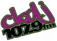 CKDJ-FM 107.9 Algonquin College, Ottawa, ON (AAC Stream) logo