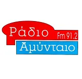 Αμύνταιο 91.2 logo