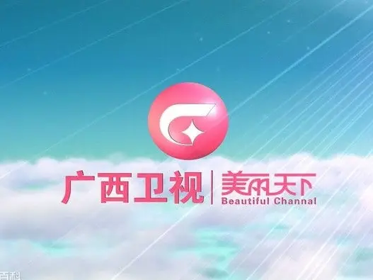 广西卫视伴音 logo