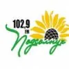 Подсолнух 102.9 FM logo
