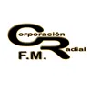 Dinámica 89.9 FM logo