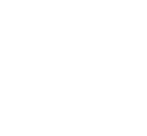 Droogies logo