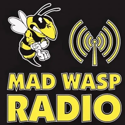 Mad Wasp Radio logo