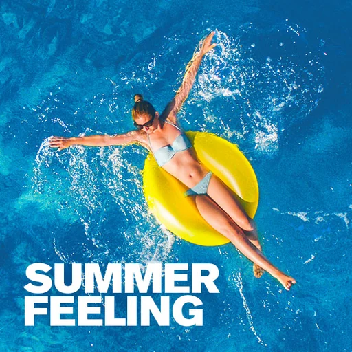 FFH SUMMER FEELING logo