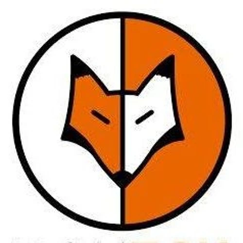 Dom Fox Is Sleeping logo