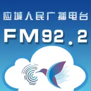 应城综合广播 logo