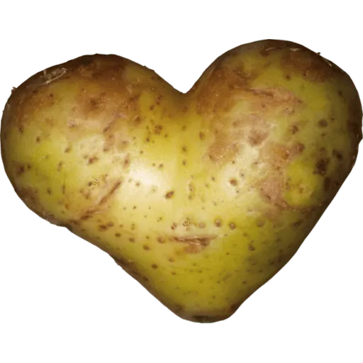 Mikulski_24/7 ( ಠ┏ل͜┓ಠ ) logo