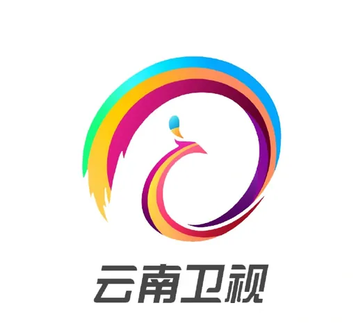 云南卫视伴音 logo