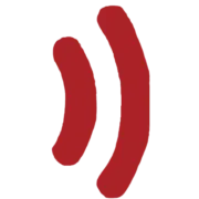 Digital FM 96.3 logo