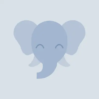 Serrebi Radio logo