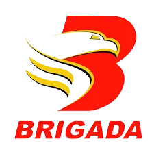 Brigada News FM Daet logo