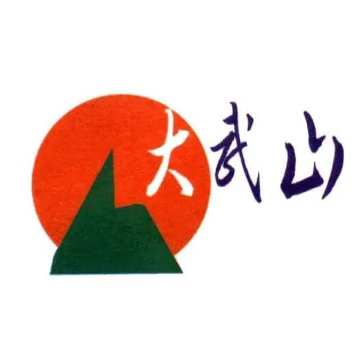 屏東大武山廣播 logo