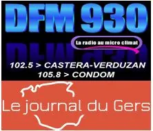 DFM 930 logo