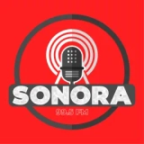 Sonora 99.5 FM logo