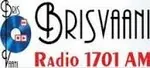 brisvaani logo