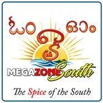 megazonesouth logo