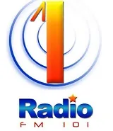 100 FM Radio 1 logo