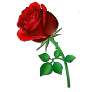 Boleros Inolvidables (FMLima) logo