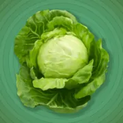 Radio Free Palmer logo