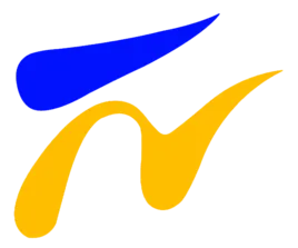 宁夏卫视伴音 logo