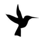 KVNF 90.9 Paonia, CO logo