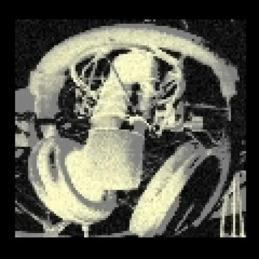 laut.fm Schwarze Szene logo