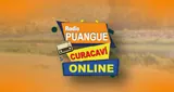 Radio puangue logo