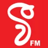 V FM logo