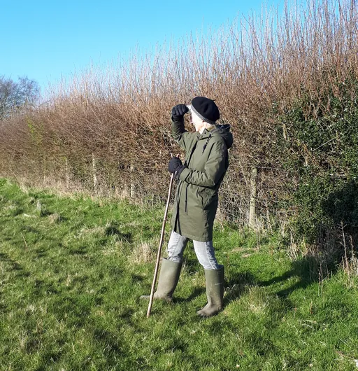 24/7 Country Walks Radio logo