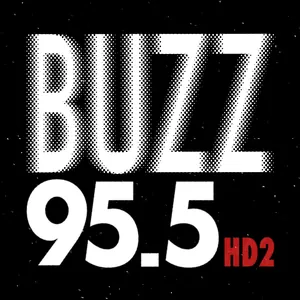 95.5 Buzz HD2 logo