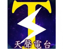 天聲AM1314 logo