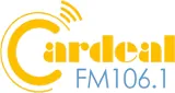 Rádio Excelsior Salvador, 106.1 MHz FM logo