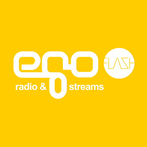 egoFLASH 64kb logo