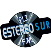 Estereo Sur 91.3 FM logo